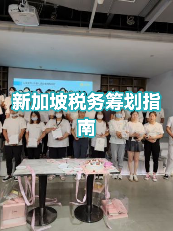 消费咨询税务筹划(消费税税务筹划)昌都市