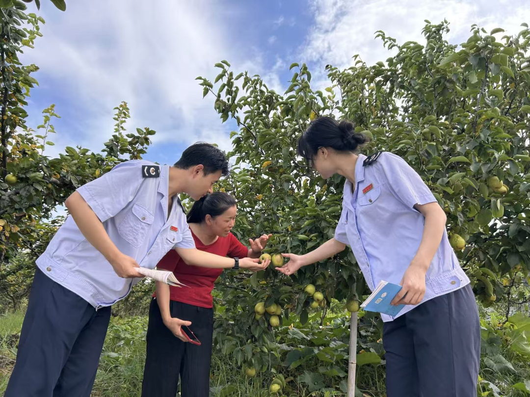 税务合规规范辅导(税务合规的规则体系)昌都市