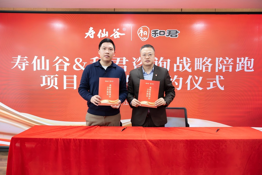 战略执行陪跑服务(战略执行五步方案案例)昌都市